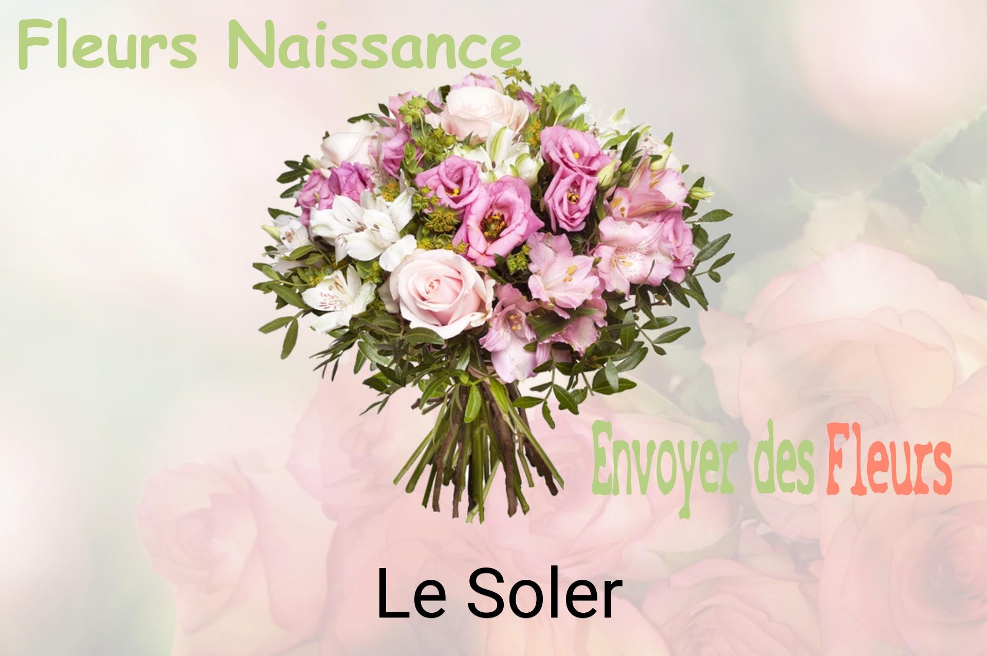 Bouquet de fleurs de naissance livré à Le Soler