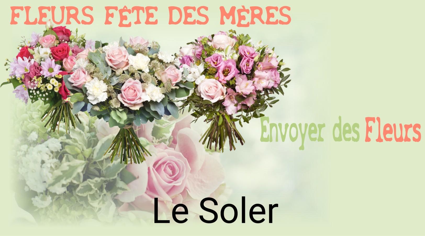 Bouquet de Fête des Mères livré à Le Soler